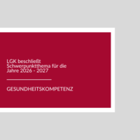 Sharepic Beschluss LGK